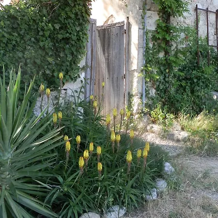 Domaine De Manteau-bleu * Beziers