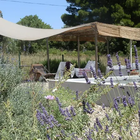 Domaine De Manteau-bleu