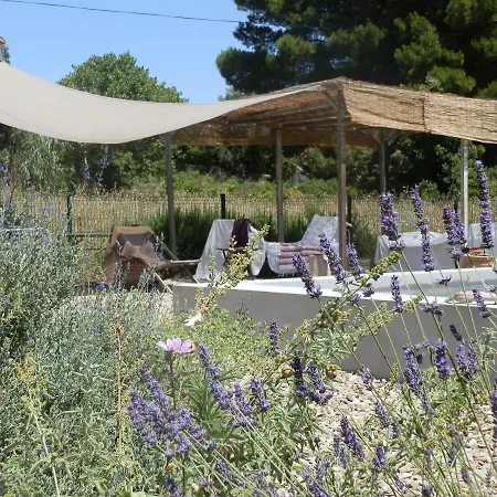 Domaine De Manteau-bleu
