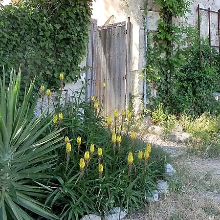 Domaine De Manteau-bleu בזייה