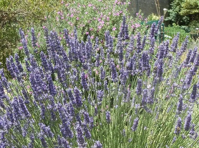 Domaine De Manteau-bleu 4*